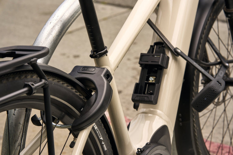 Bike Frame Locks