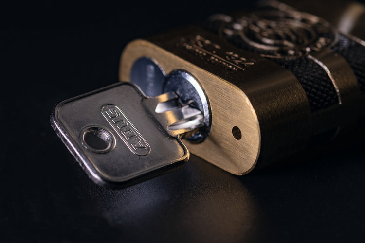 83 Series Padlocks