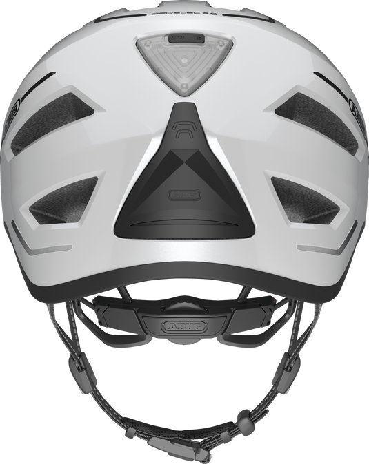 rear view of Pedelec 2.0