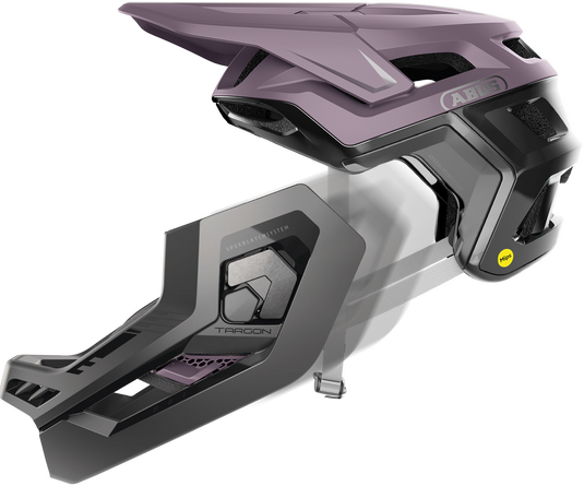 DO NOT CHANGE FROM DRAFT (TARGON MIPS)