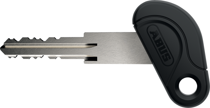 Load image into Gallery viewer, T82 KEY
