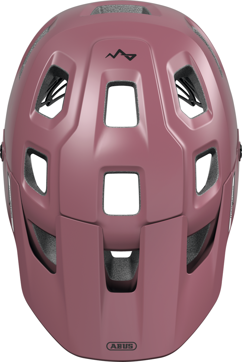 Load image into Gallery viewer, Pink helmet with a brand logo on a white background #color_blush red
