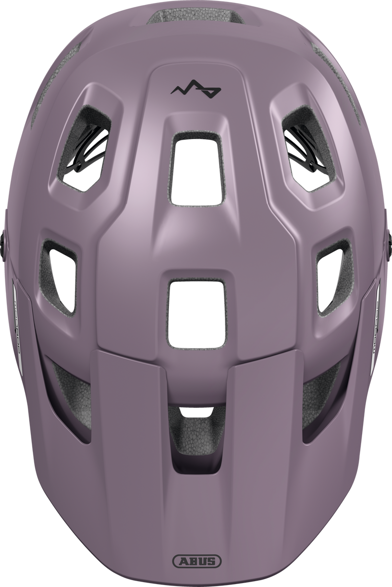 Load image into Gallery viewer, Purple helmet with a brand logo on a white background #color_ash purple
