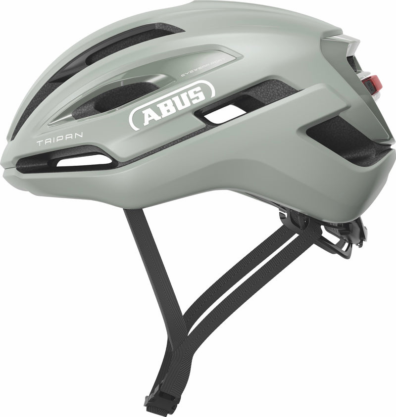 Load image into Gallery viewer, green bicycle helmet with 'ABUS' branding on a white background#color_frosted green
